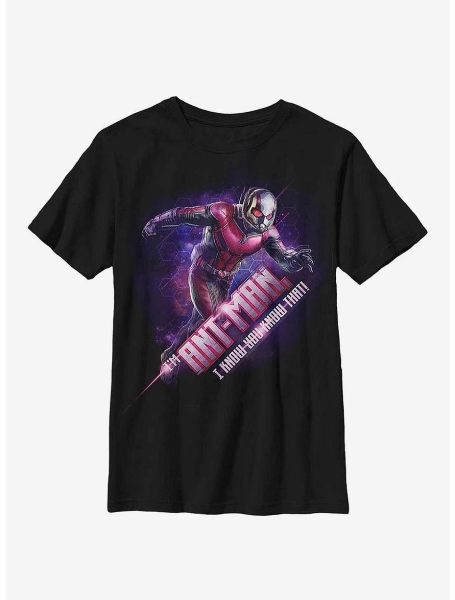 Youth | * Boxlunch Marvel Ant-Man I'M Ant-Man Youth T-Shirt