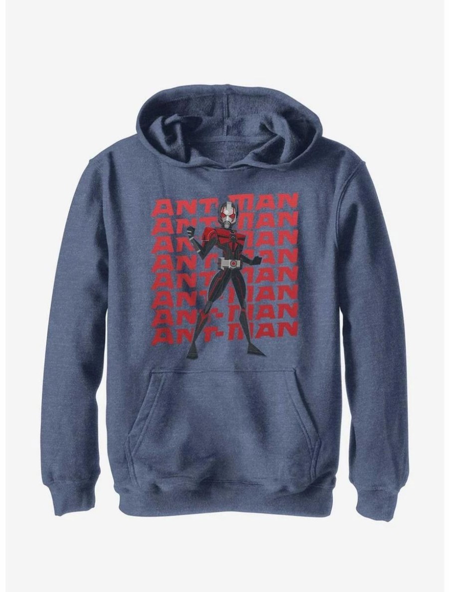 Youth | * Boxlunch Marvel Ant-Man And The Wasp: Quantumania Action Pose Youth Hoodie