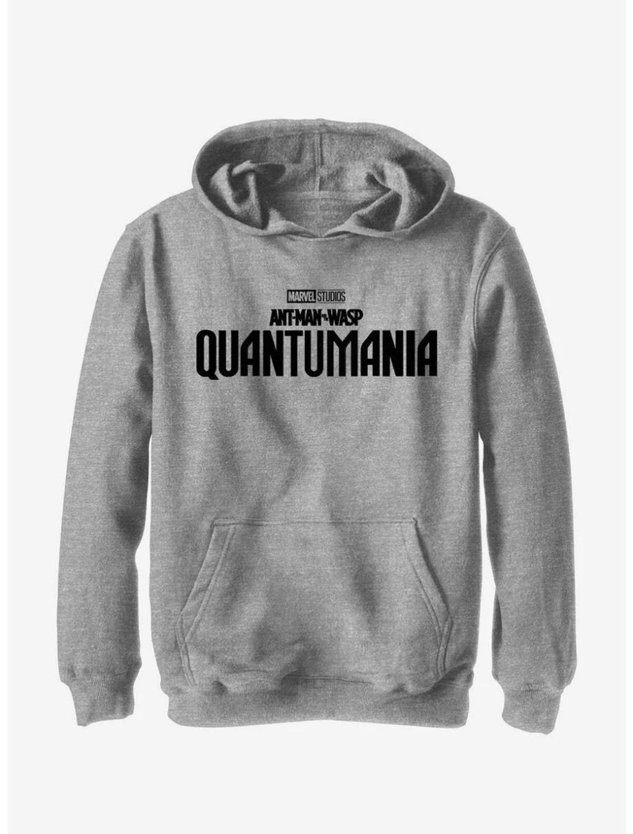 Youth | * Boxlunch Marvel Ant-Man And The Wasp: Quantumania Logo Youth Hoodie